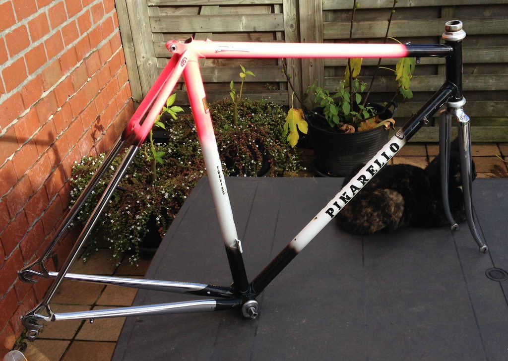 Pinarello Serial Number