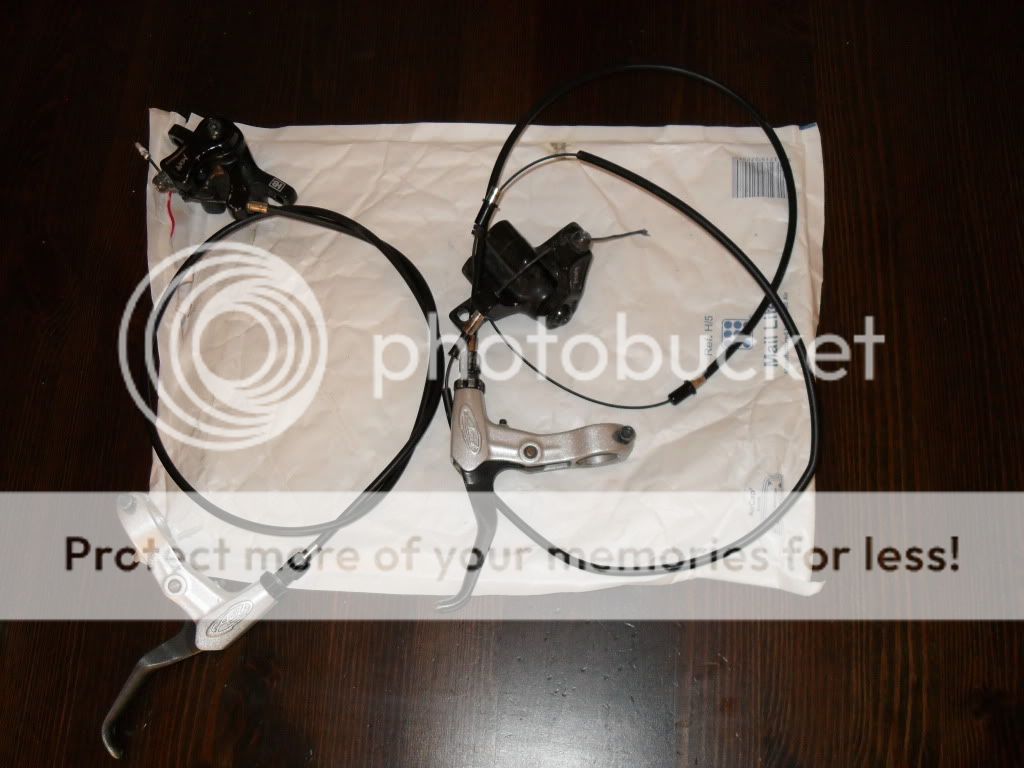 SDC10020.jpg