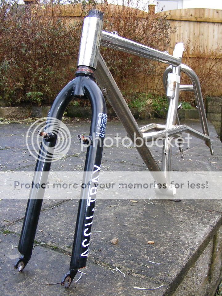 2010_0118saver0017.jpg