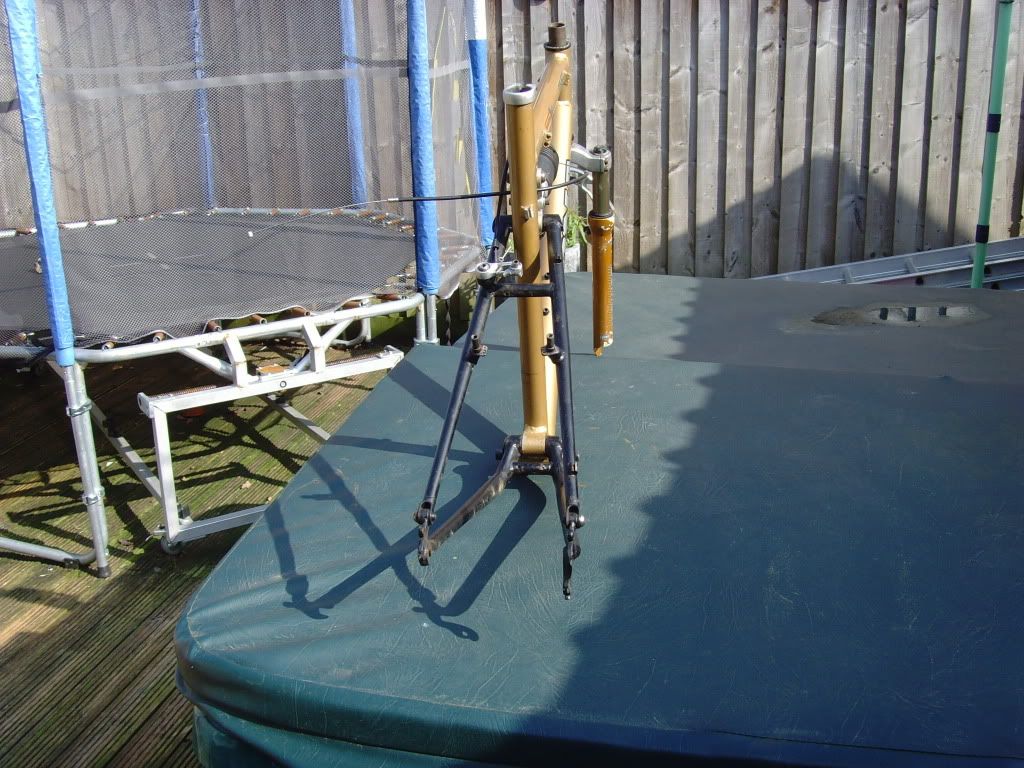 SNV35107.jpg