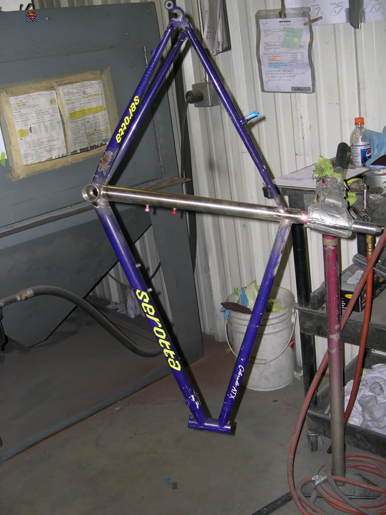 Serotta1.jpg