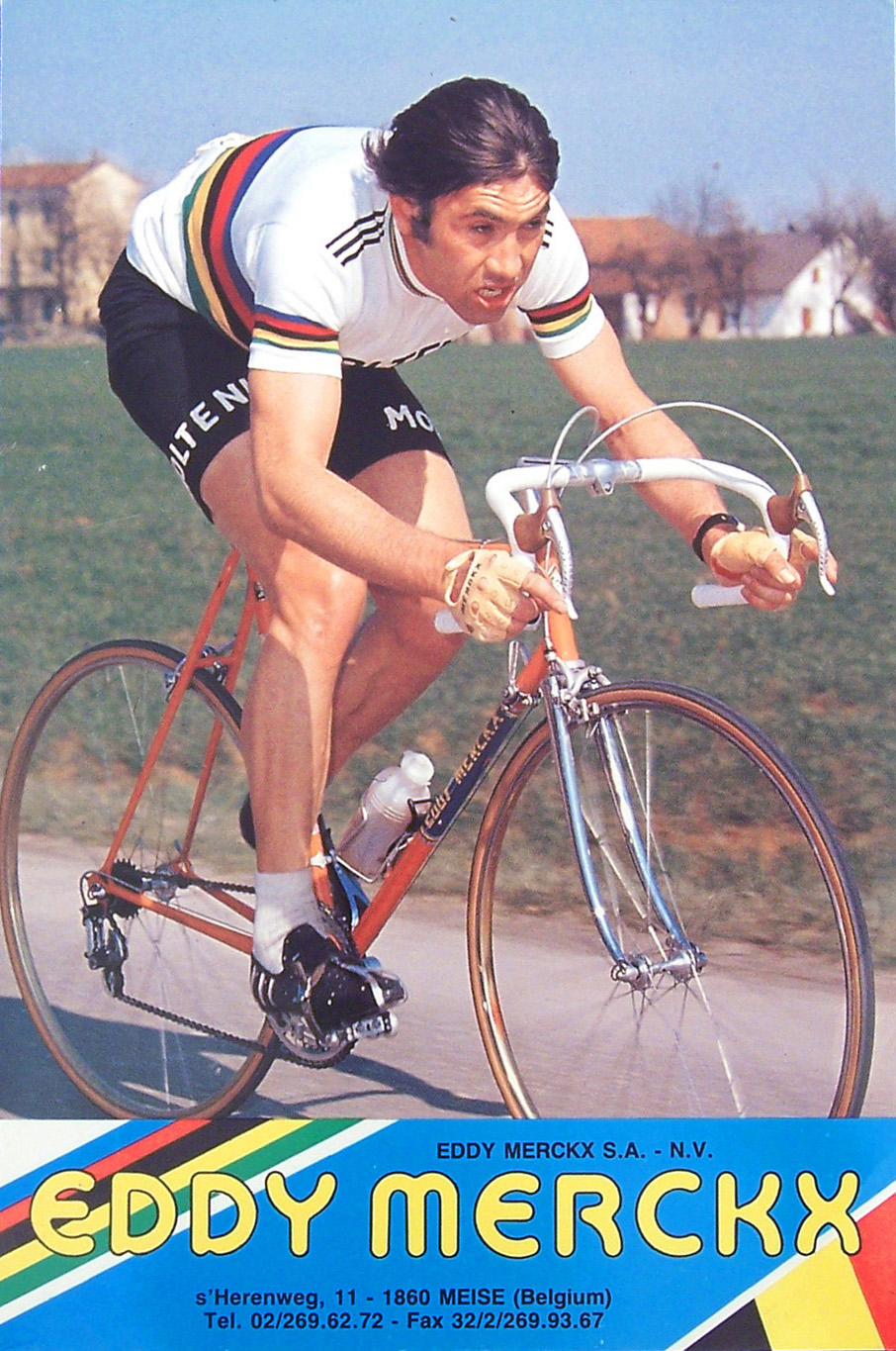 molteni_card_2a.jpg