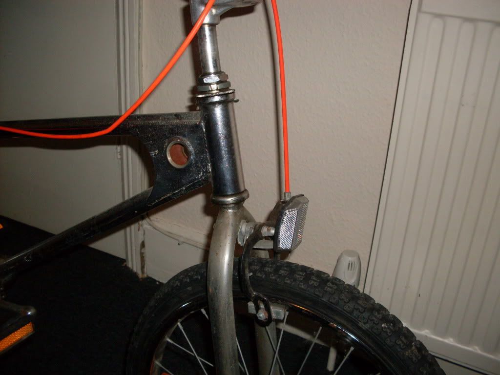 goose822.jpg