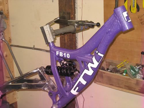 PaintedFB10Frame2.jpg