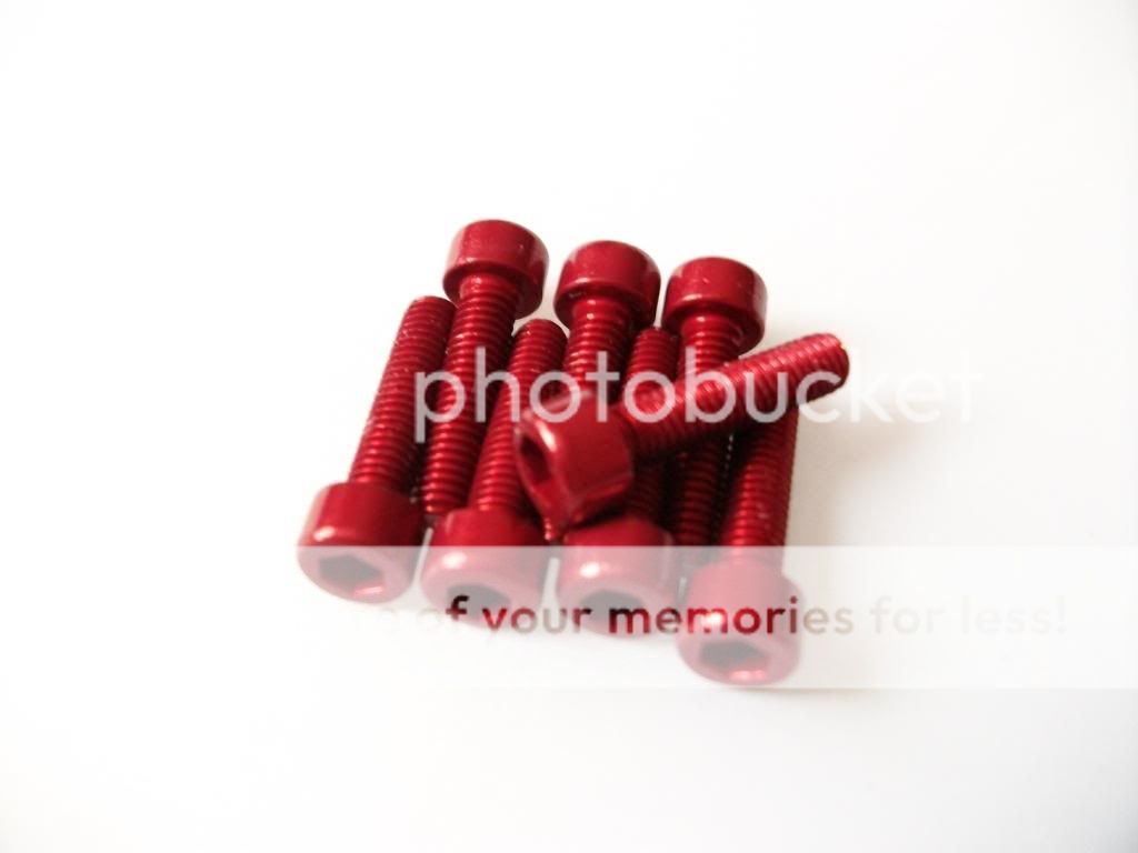 IMGP2638.jpg