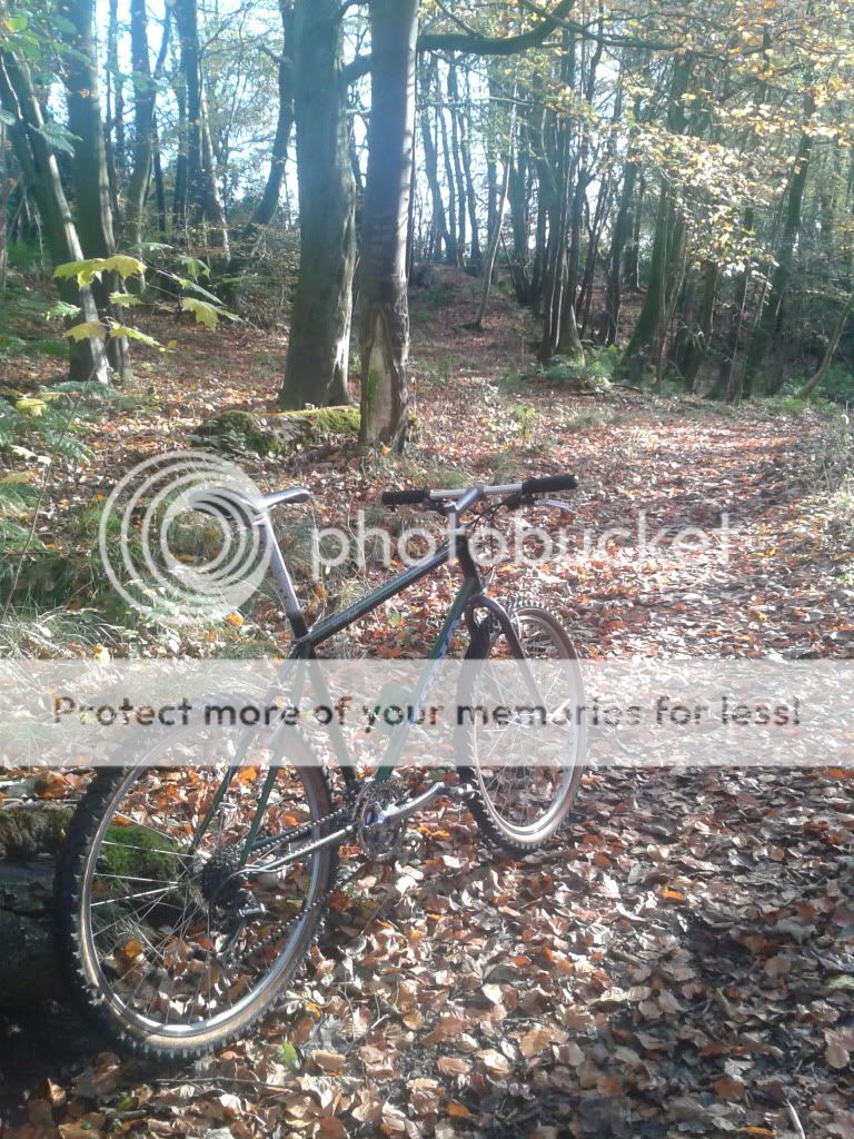 2011-11-06120347.jpg