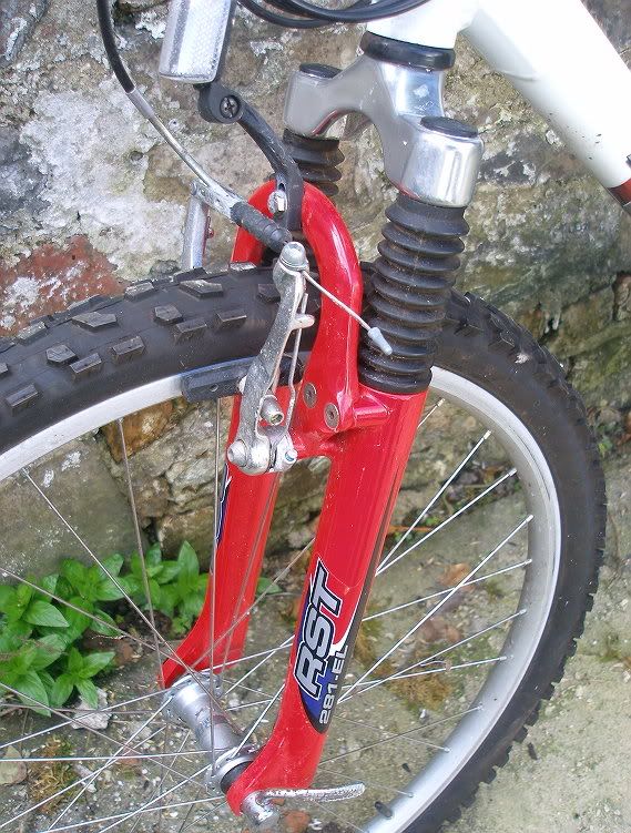 scott6.jpg