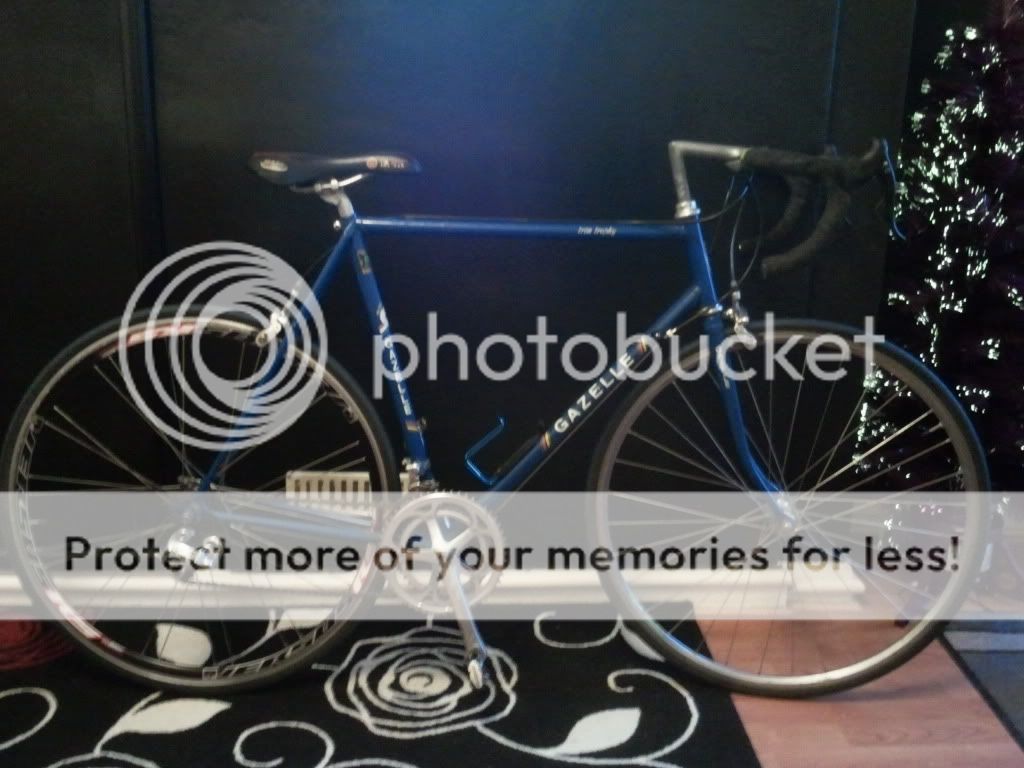 2011-12-29133103.jpg