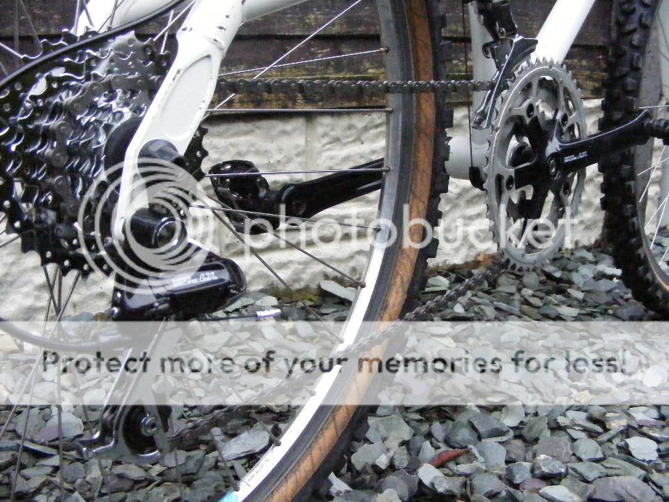 2010_1120lx0037-1.jpg