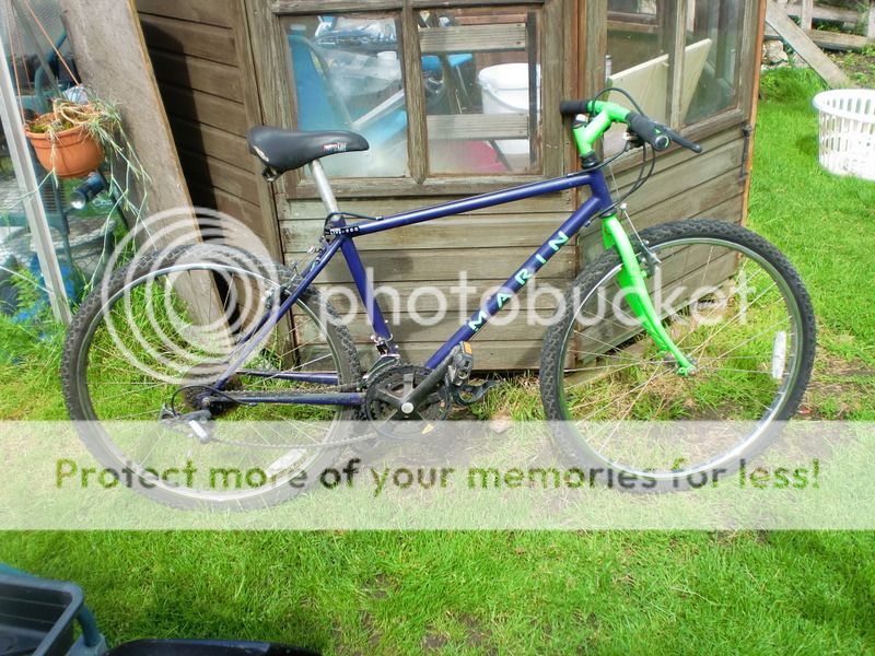 marin_zps86189ae9.jpg
