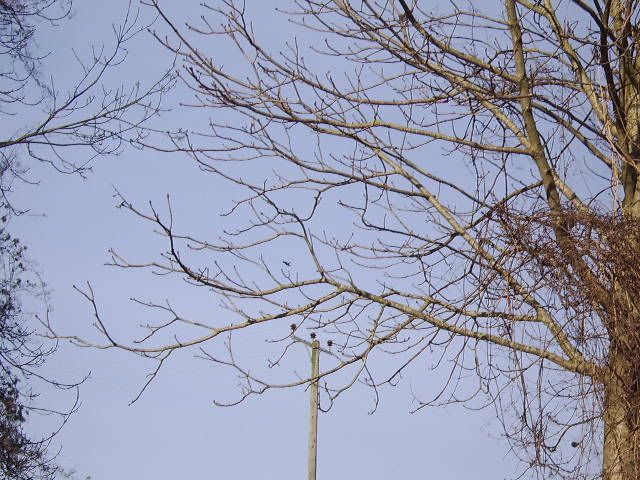 STA70327.jpg