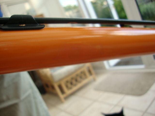 DSC01773.jpg