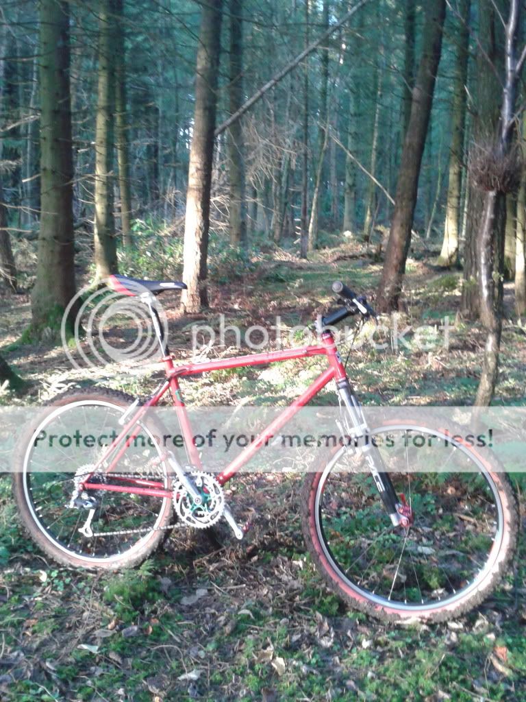 2011-11-13140707-1.jpg