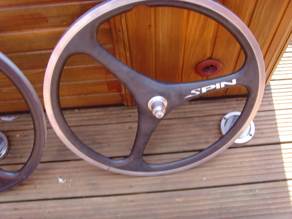 SNV35209.jpg
