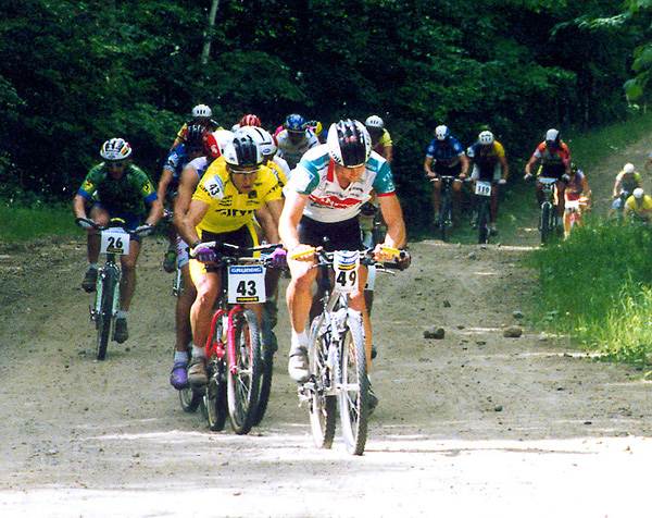 msa38.jpg