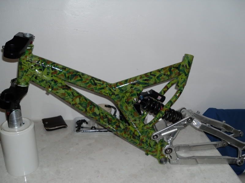 camodh8-2.jpg