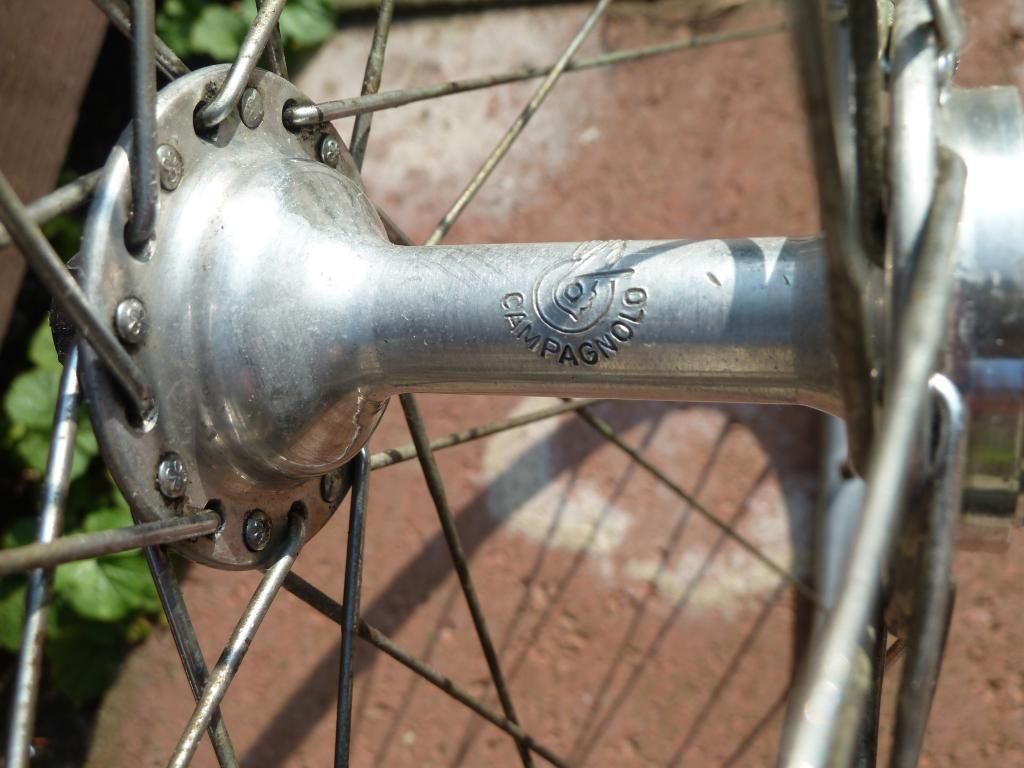 campywheels007.jpg