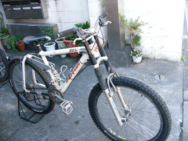 P1000645.jpg