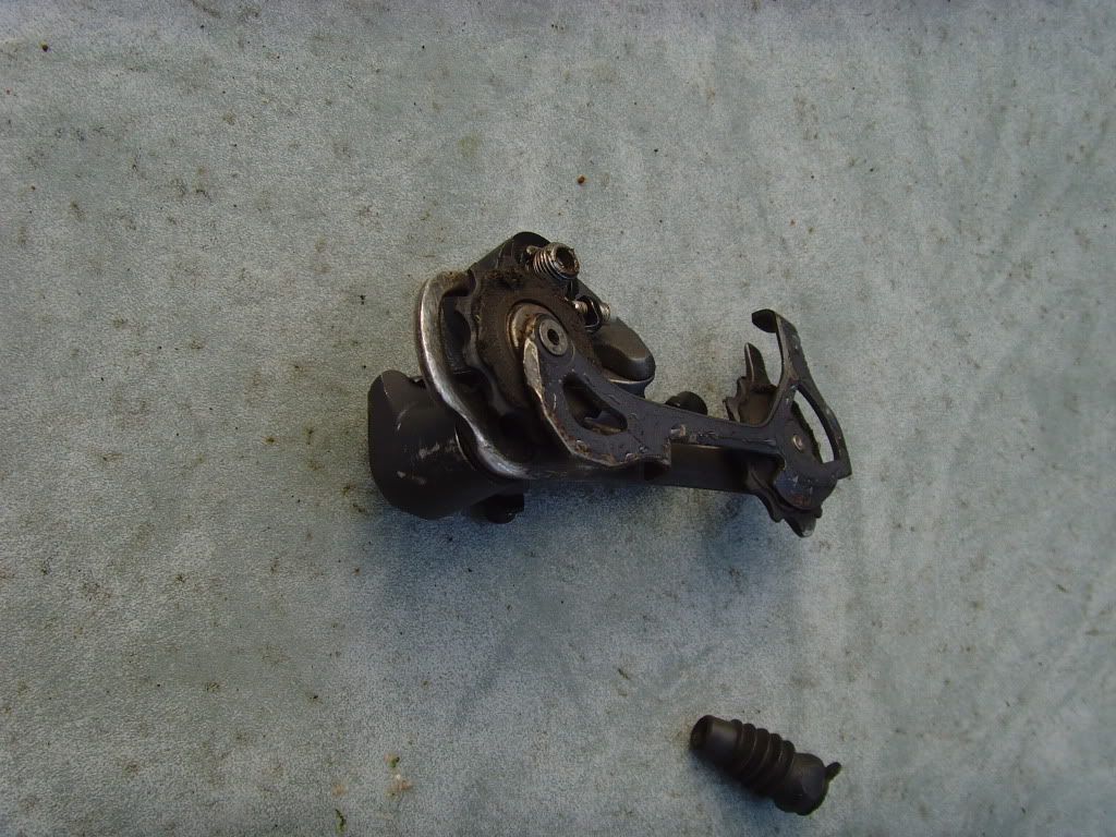 SNV36298.jpg