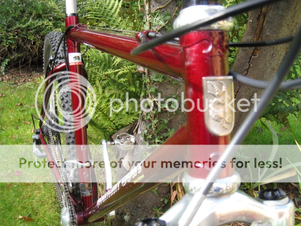 WTRM950010_zps427075e2.jpg