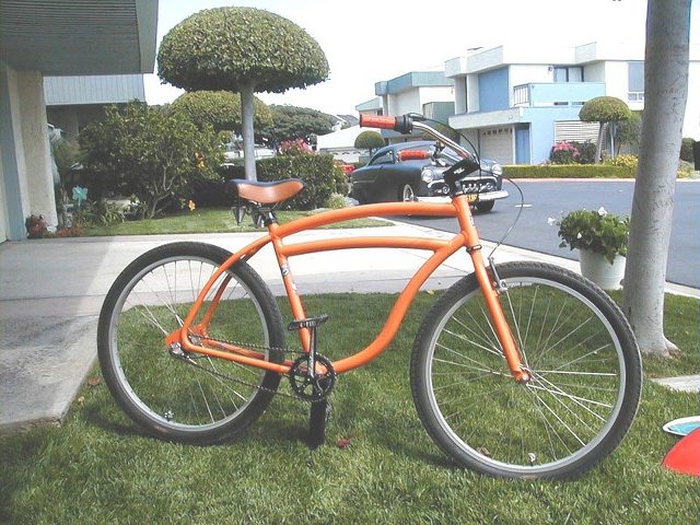 mjnb5.jpg