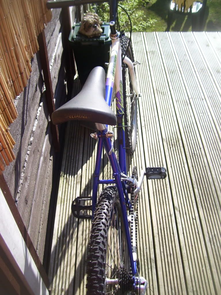 100_5388.jpg