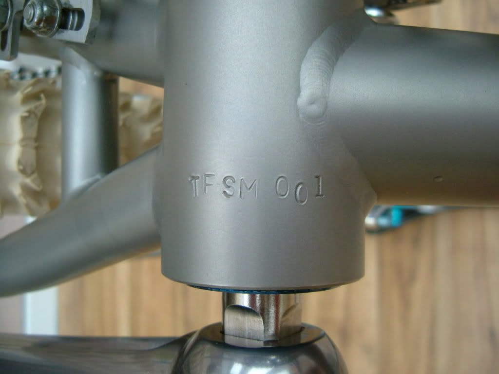 fatintheconservatory014.jpg