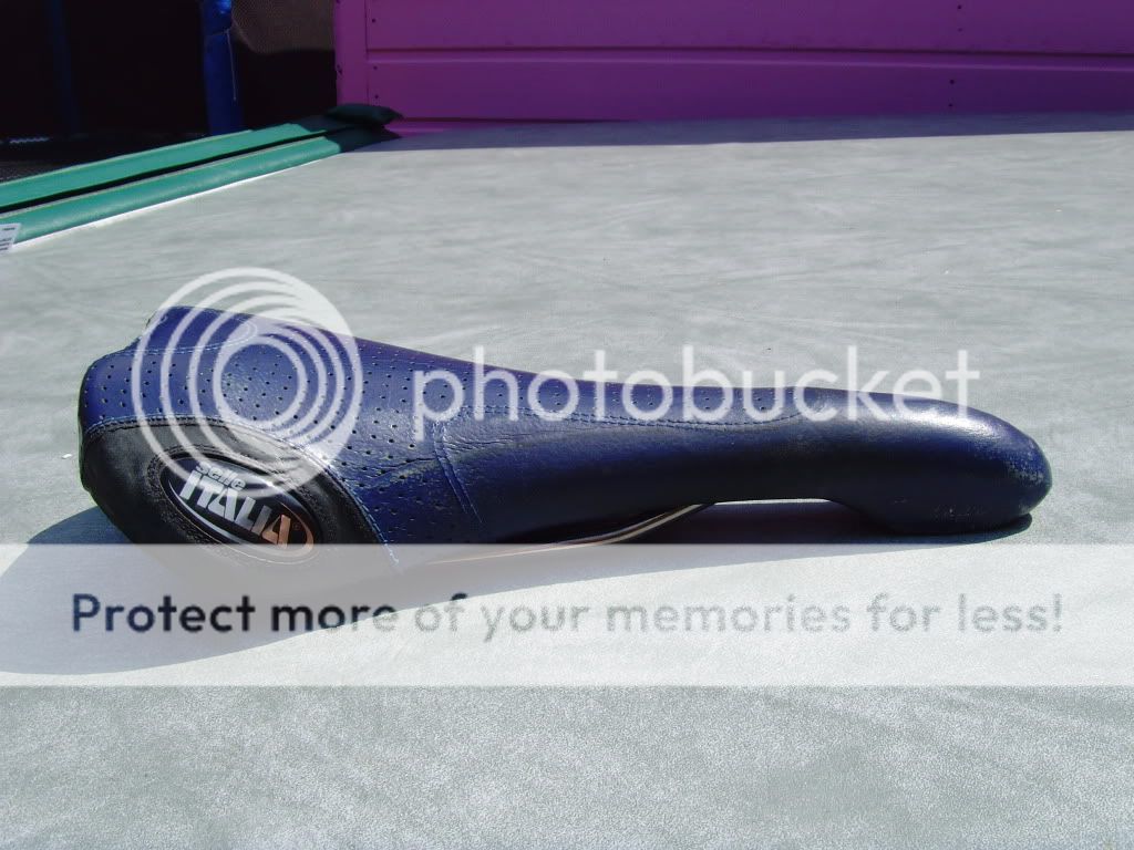 SNV35428.jpg