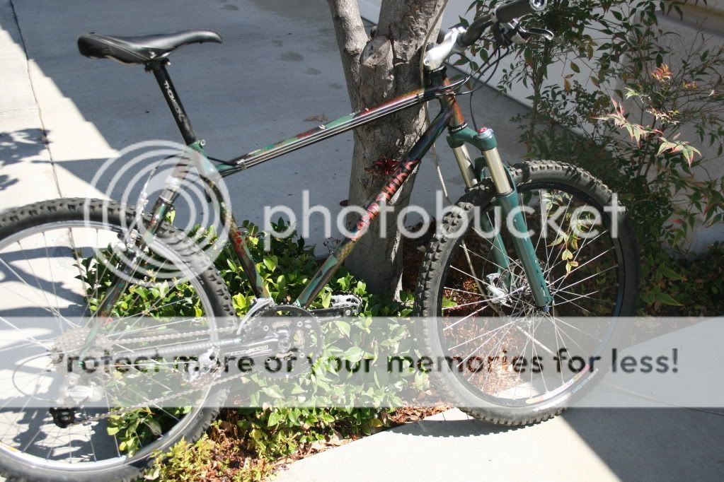 IMG_4187.jpg