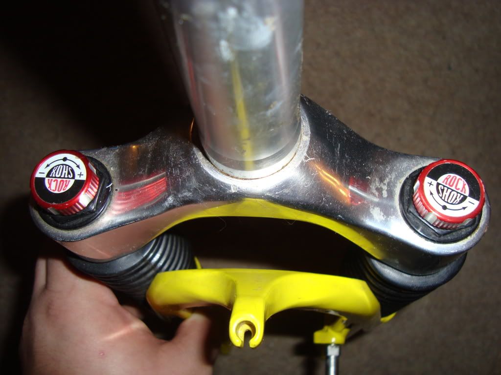 Adambike022.jpg