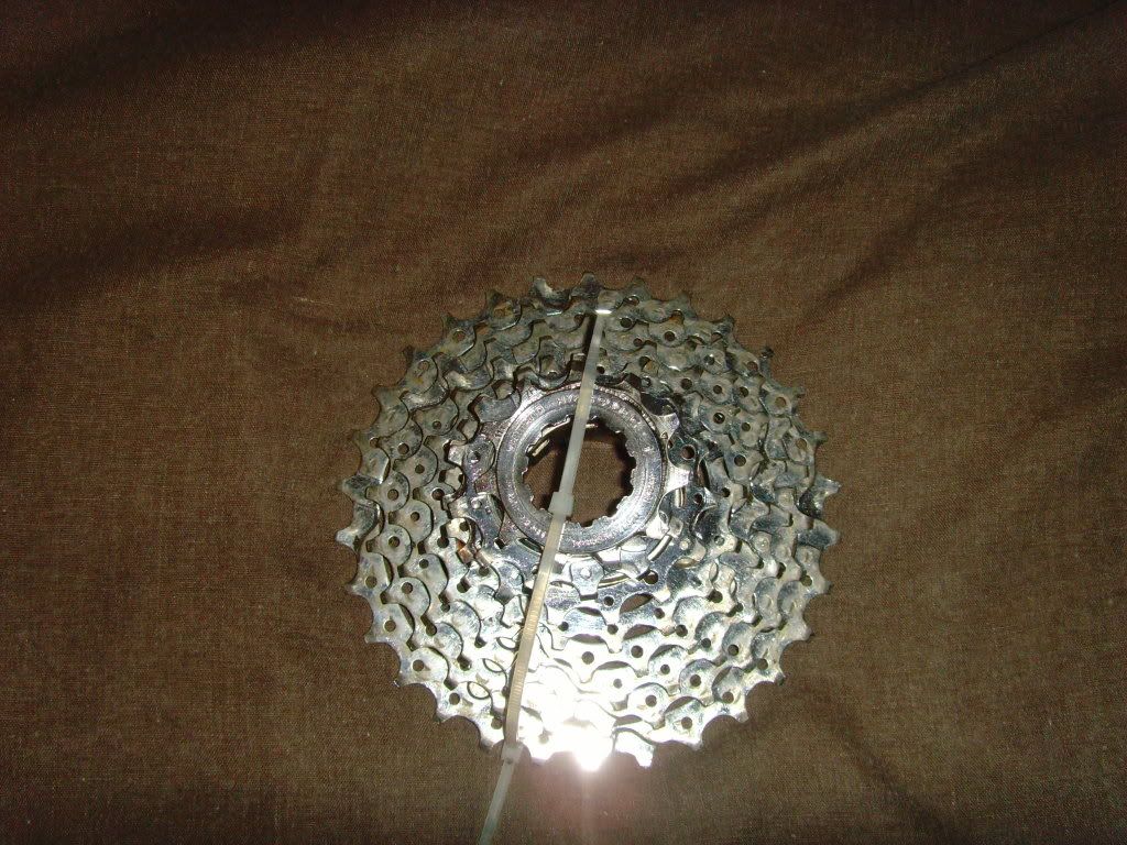 SNV34595.jpg