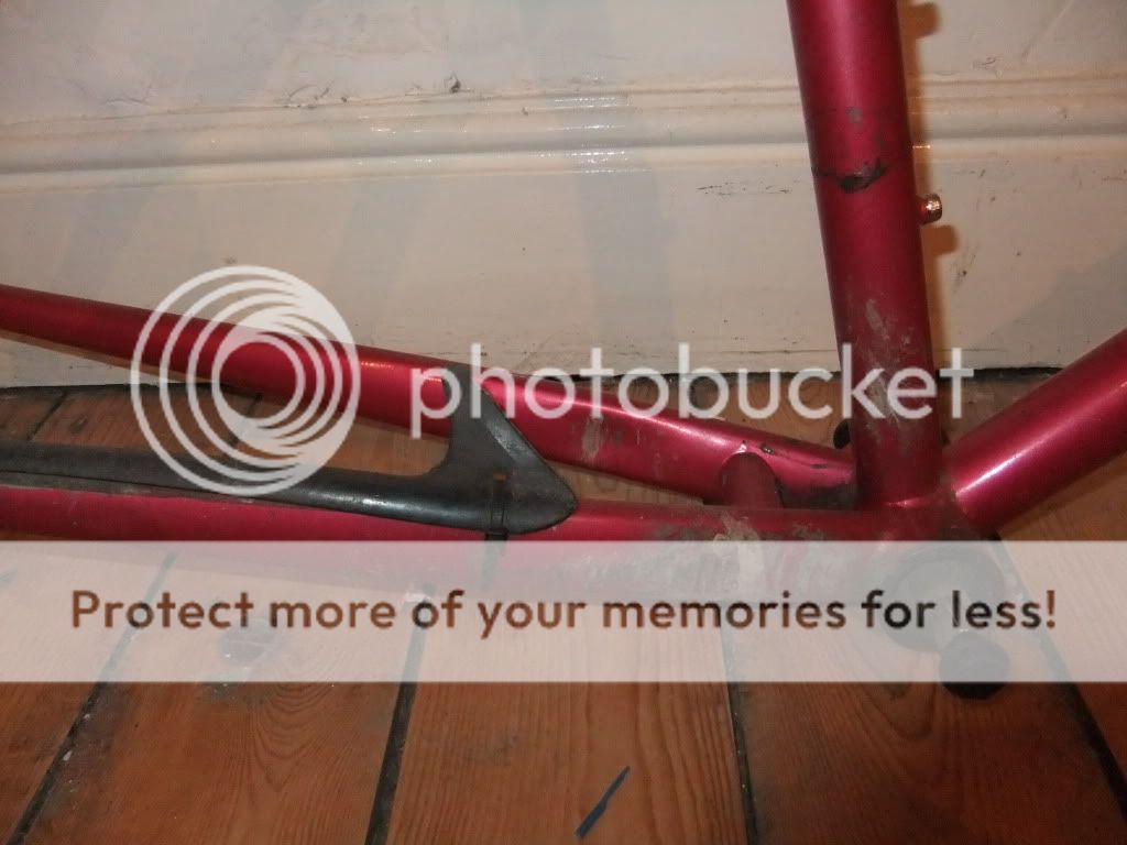 DSCF2086.jpg