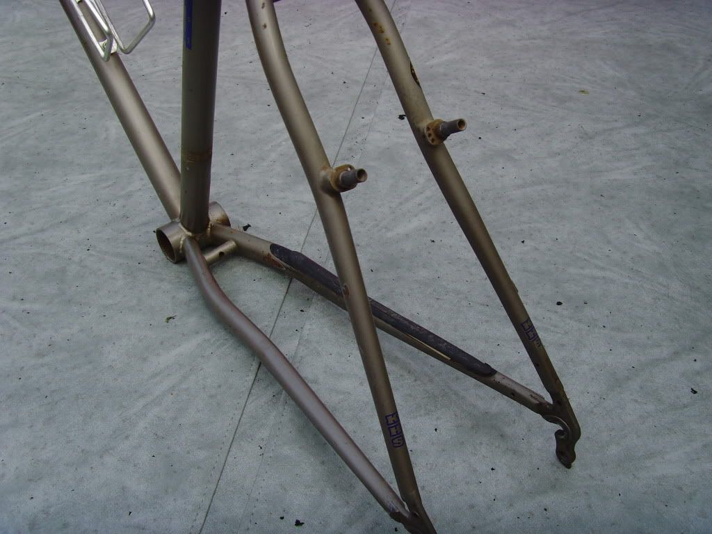 SNV35580.jpg