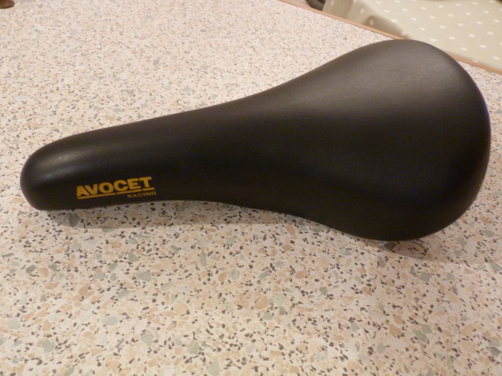 P1000721.jpg
