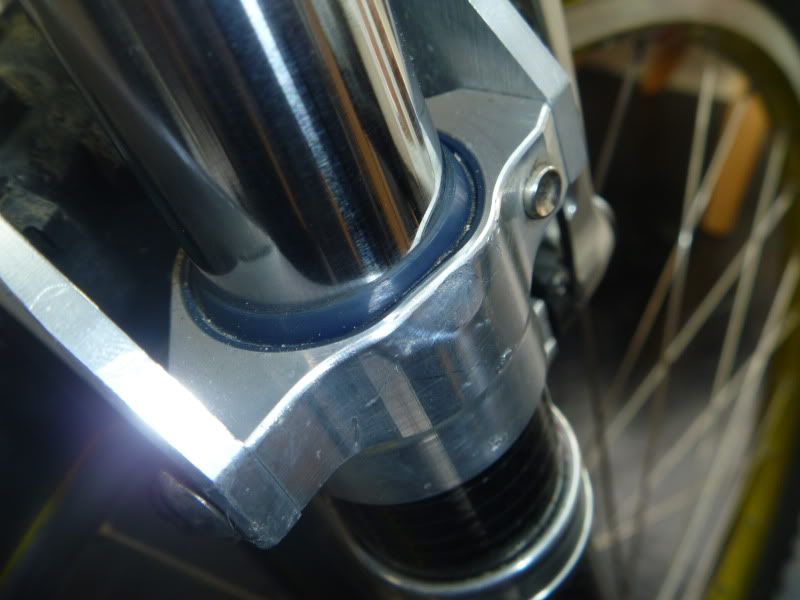 P1050001.jpg