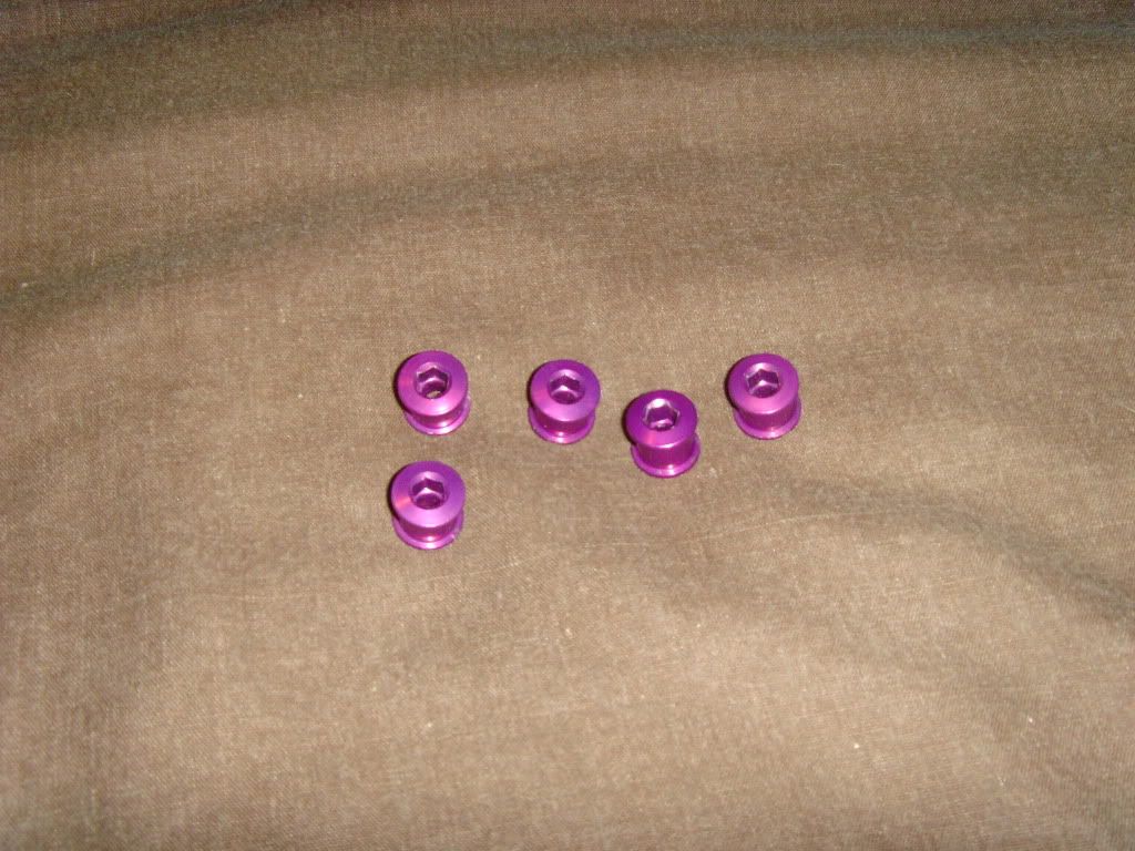 SNV33939.jpg