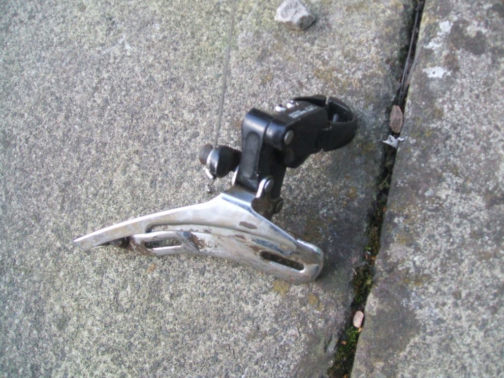 DSCF5487.jpg