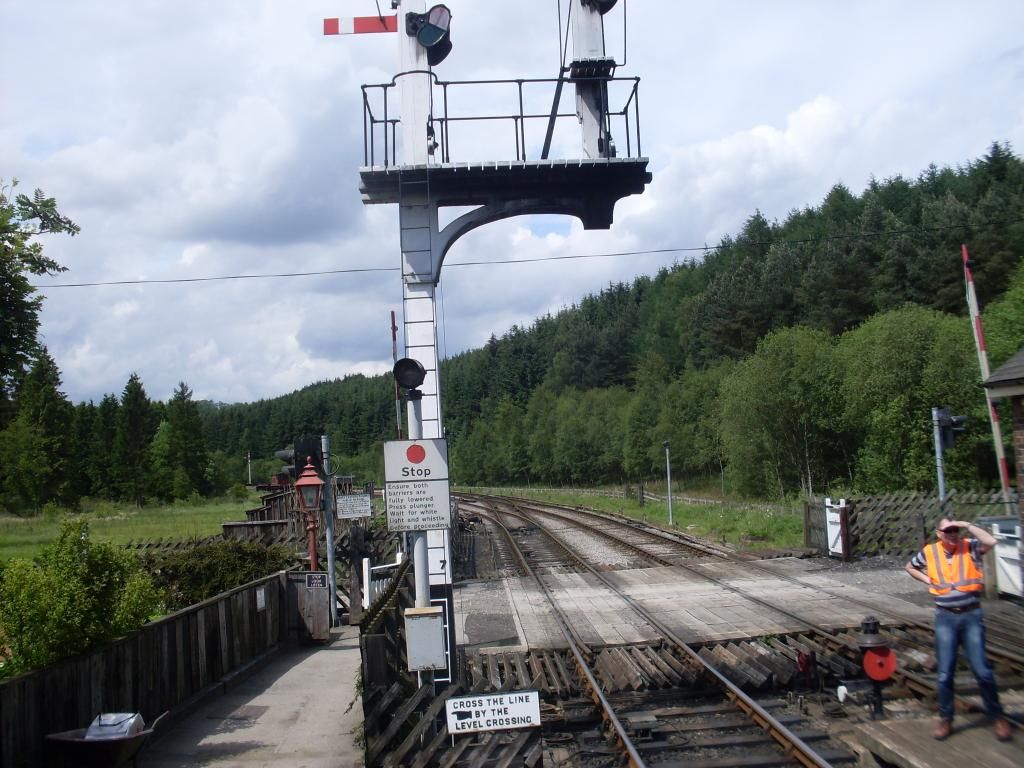 SDC10393_zps235e5fd8.jpg