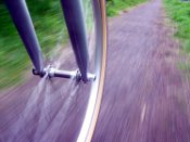 P.o.T.M. May 2010 is Easy Rider's 'The Wheel'