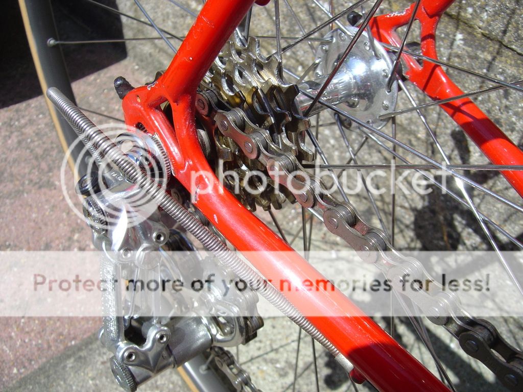 teambikes002.jpg