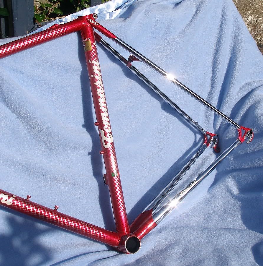ts9.jpg