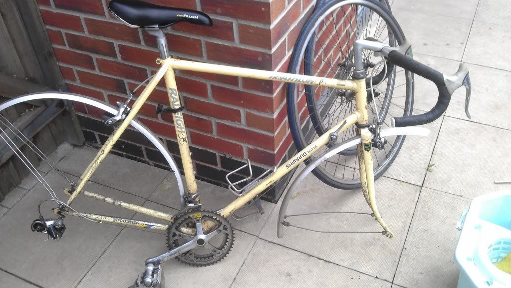 RALEIGH1.jpg