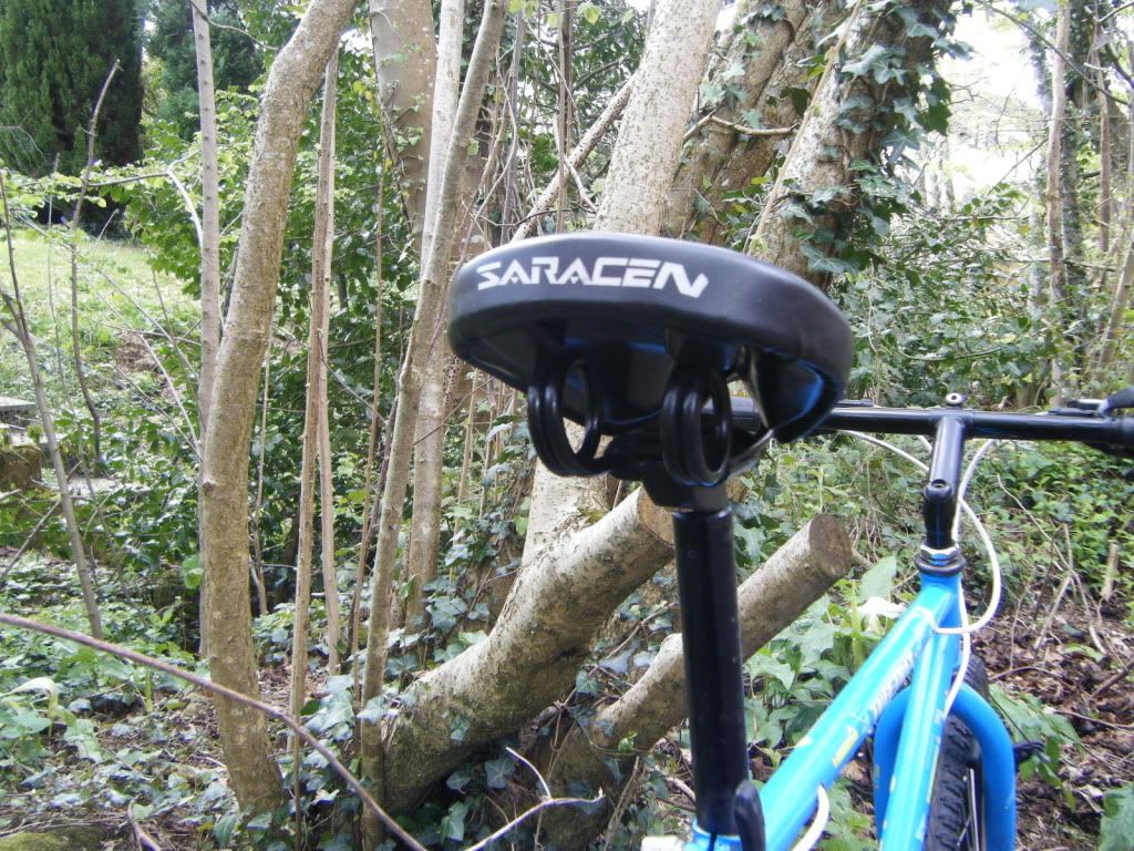 dscf5581.jpg