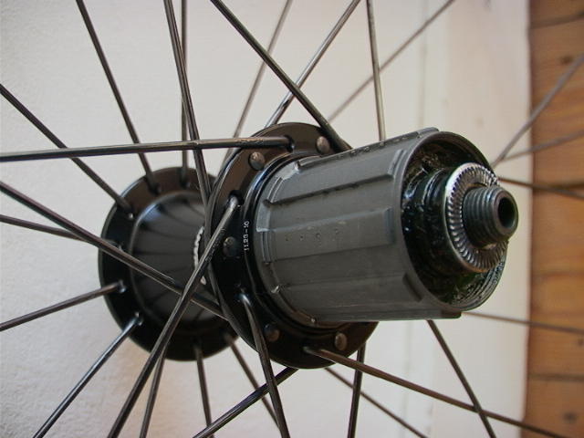 15269507hg.jpg