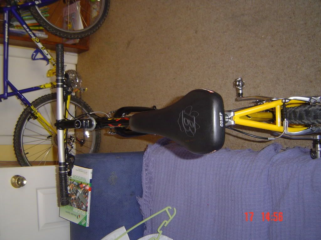 DSC01766.jpg