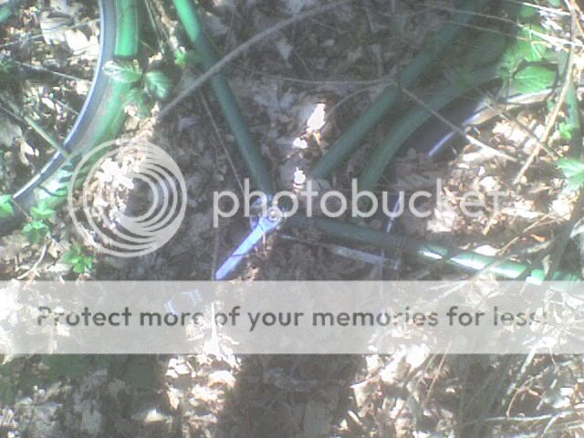DSC00003.jpg