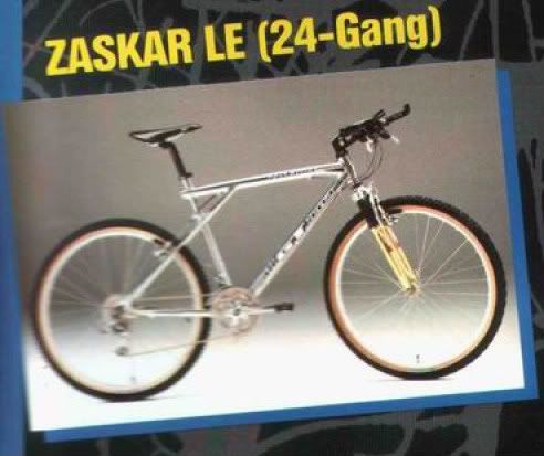 ZaskarLEBike94Cat-1.jpg