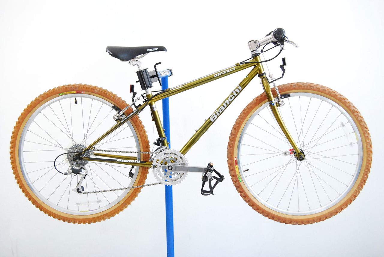 bianchi_grizzly_(1).JPG