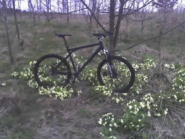 03-05-08_1017.jpg