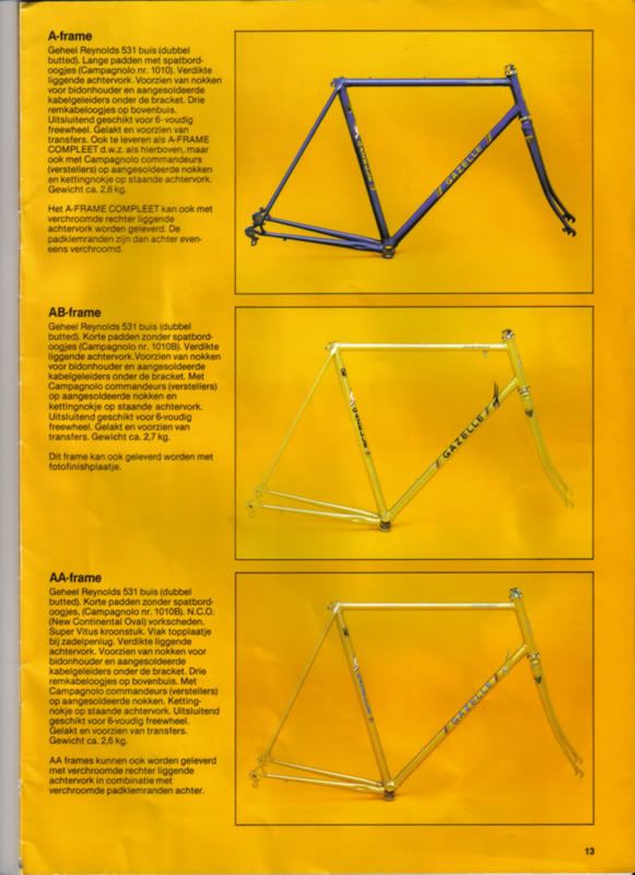 gazelle12.jpg